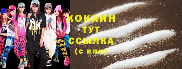 меф Новодвинск