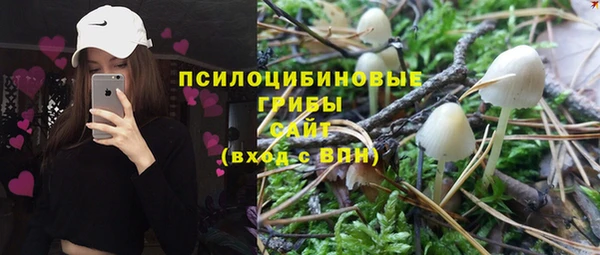 2c-b Абинск